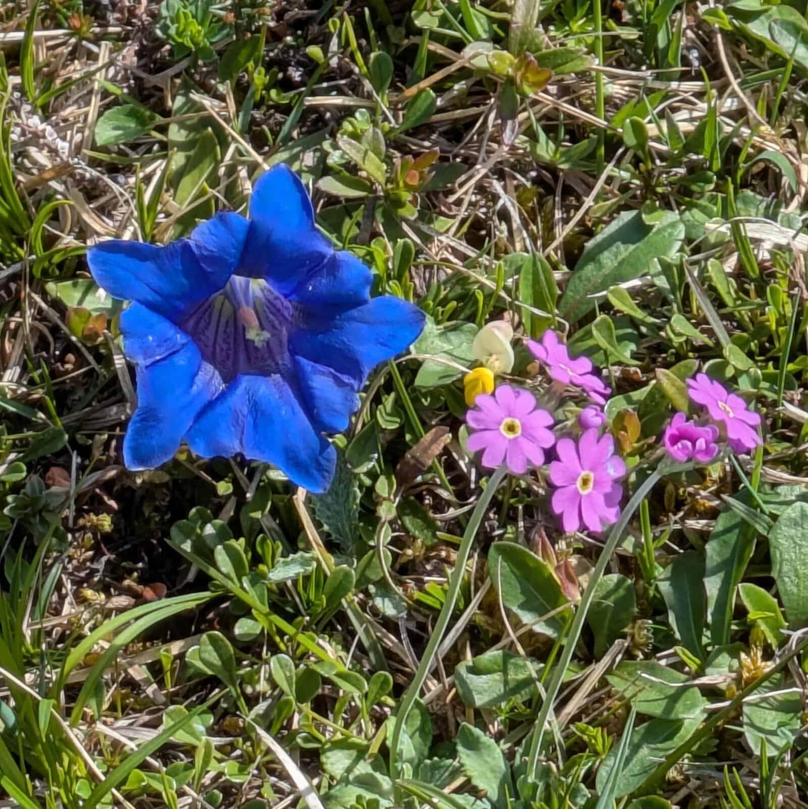 Rundtour auf die Hochplatte — Impression