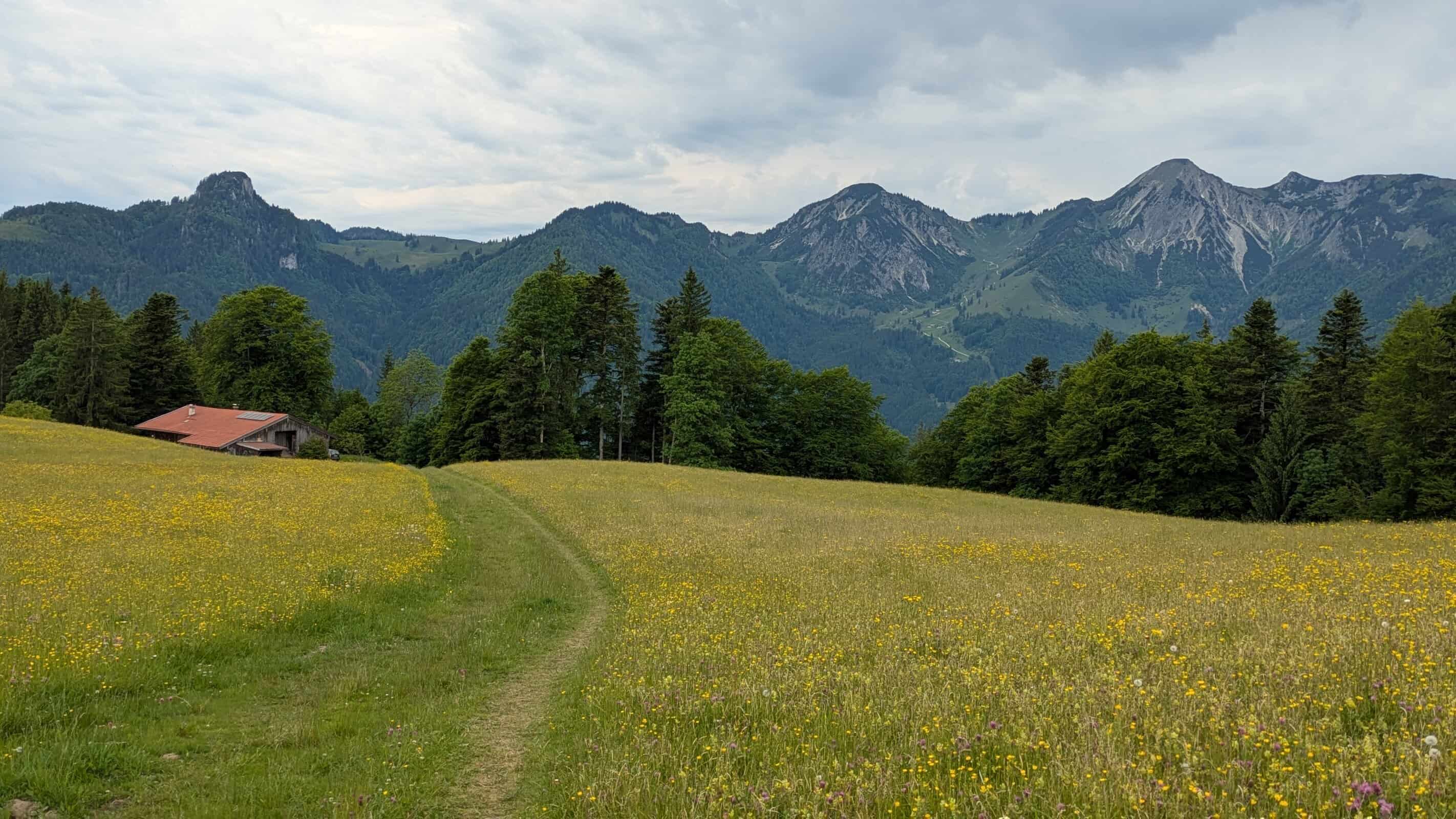 Zum Blauen Auge des Chiemgau — Impression
